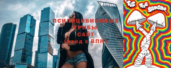 стаф Белокуриха