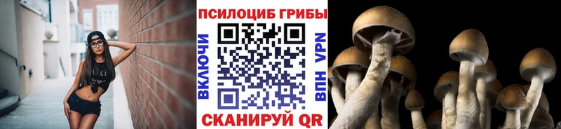 Псилоцибиновые грибы Magic Shrooms  hydra tor  Печора 