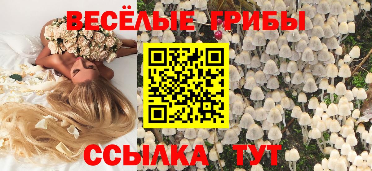 Галлюциногенные грибы Psilocybine cubensis  Вход с VPN  Галлюциногенные грибы Cubensis  Печора 