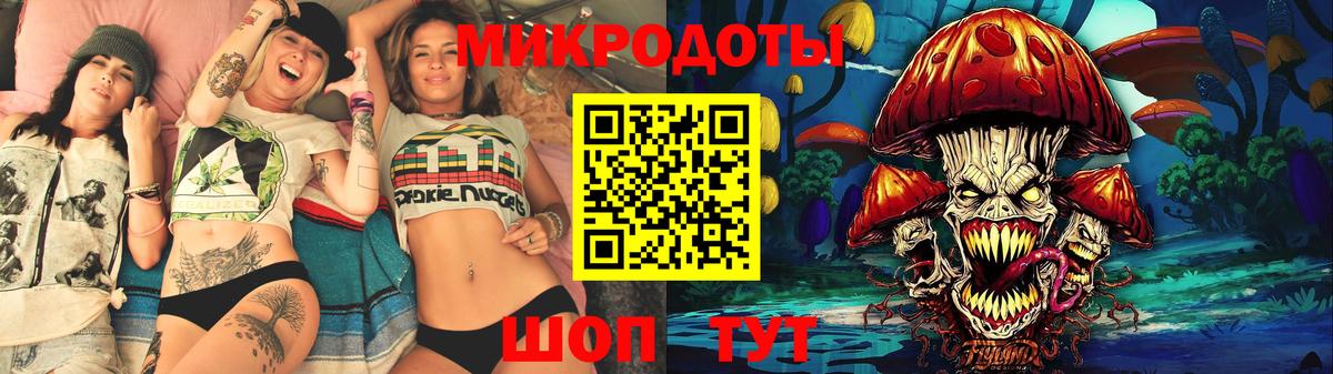 Галлюциногенные грибы Psilocybine cubensis Печора